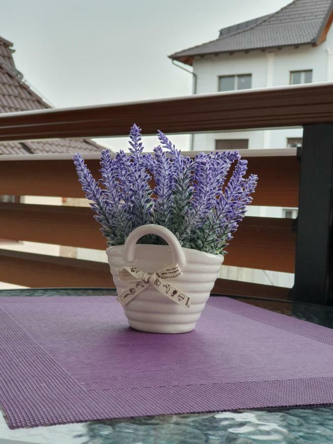 Zlatibor Hills Lara Aparthotel Bagian luar foto